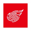 Logo de NTES