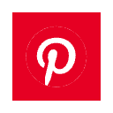 Logo de PINS